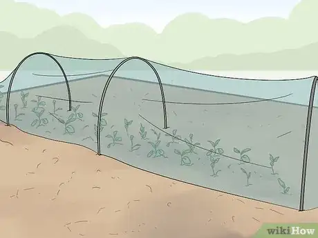 Image titled Use Horticultural Fleece Step 6