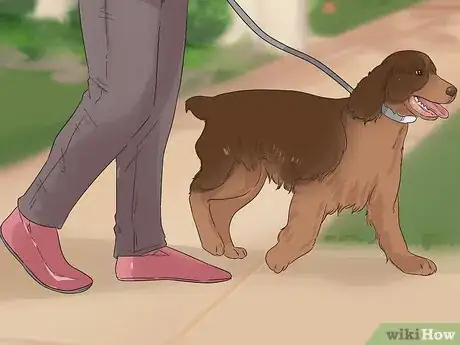 Image titled Involve a Dog in Pet Therapy Work Step 3