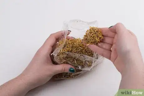 Image titled Make Calendula Oil Step 2