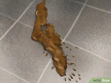 Image titled Care for an Australian Terrier Step 4