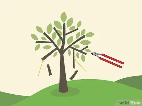 Image titled Prune an Avocado Tree Step 17