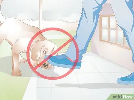 Image titled Care For a Dog with Bad Joints Step 11