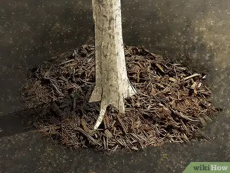 Image titled Reduce Your Carbon Footprint in the Garden Step 7