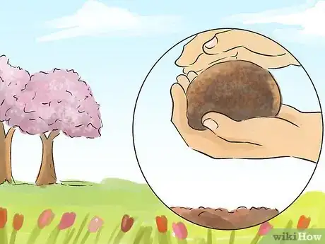 Image titled Grow Flax from Seed Step 5