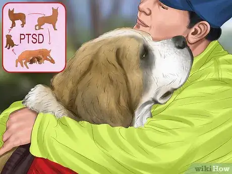 Image titled Help a Dog Suffering from Trauma Step 17