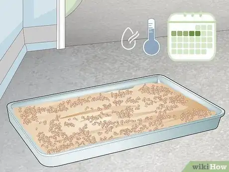 Image titled Dry Malt Step 5