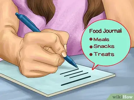 Image titled Know if Your Senior Dog Should Go on a Diet Step 3