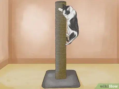 Image titled Choose a Scratching Post or Pad for Your Cat Step 12
