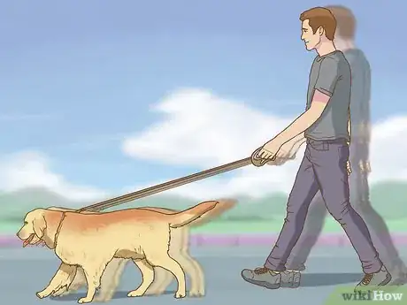 Image titled Have Fun While You're Walking Your Dog Step 6