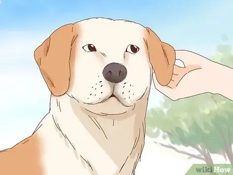 Image titled Pet a Dog Step 8