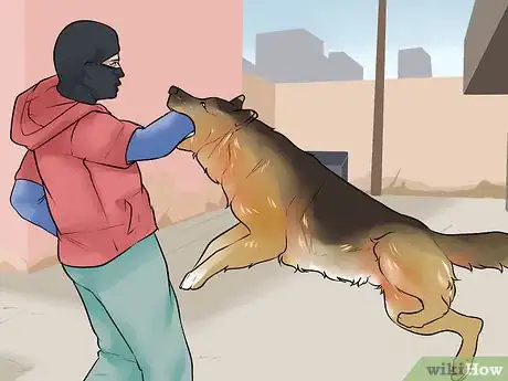 Image titled Choose the Right Dog Breed to Protect Your Home Step 1