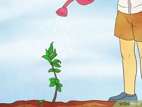 Image titled Grow Goji Berry Plants Step 5