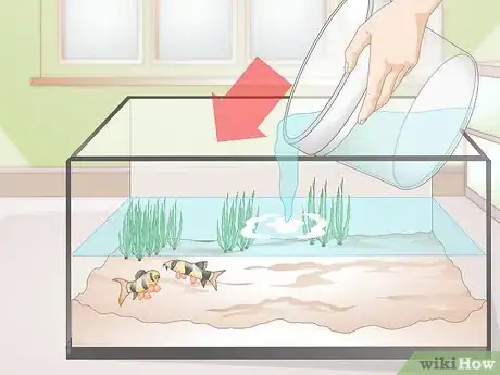 Image titled Do a Water Change in a Freshwater Aquarium Step 11