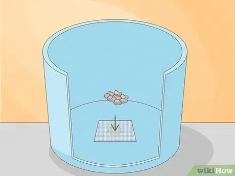 Image titled Grow a Cashew Nut in a Pot Step 1