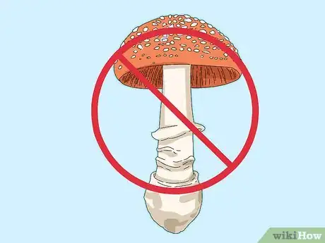 Image titled Identify Mushrooms Step 7