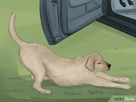 Image titled Travel Safely With Dogs Step 9