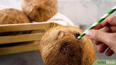 Image titled Drink from a Coconut Step 5