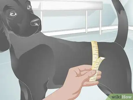 Image titled Buy Dog Diapers Step 4