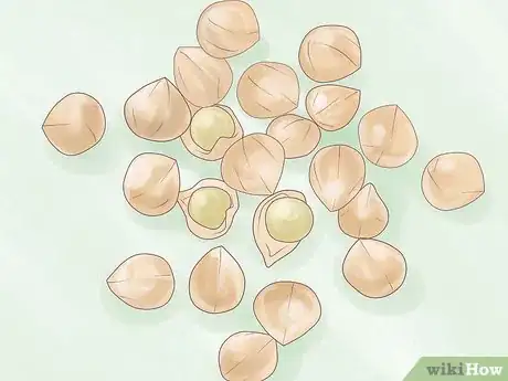 Image titled Germinate Seeds Guaranteed Without Soil or Medium for Garden or Hydroponics Step 1