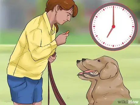 Image titled Choose the Right Dog Breed to Protect Your Home Step 4