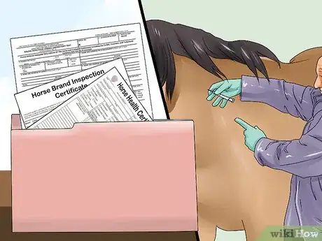 Image titled Take Your Horse on a Long Trailer Ride Step 5