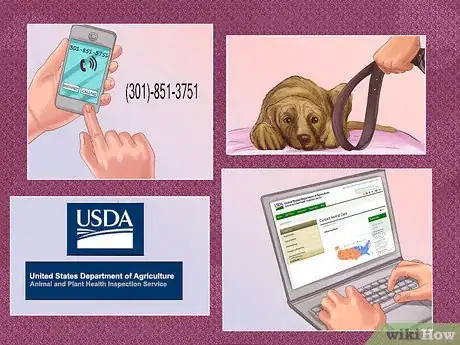 Image titled Report Animal Abuse Step 10