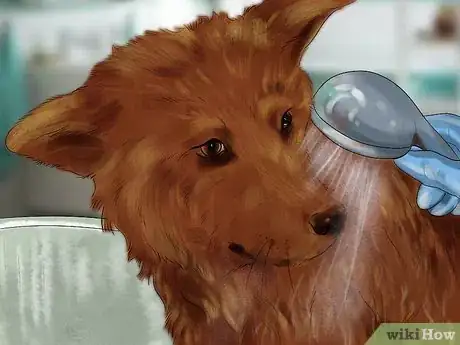 Image titled Get Dog Smell Out of the Carpet Step 9