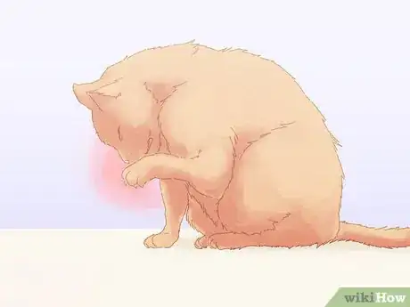 Image titled Save a Choking Cat Step 1