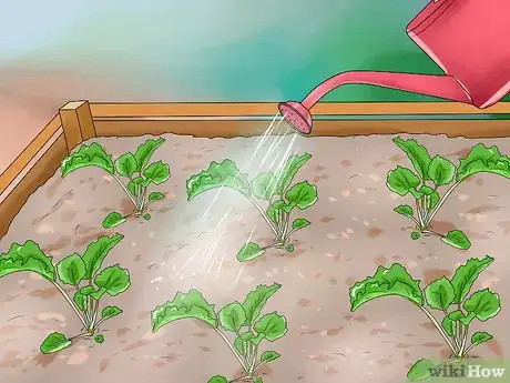 Image titled Water Plants While You're Away Step 14