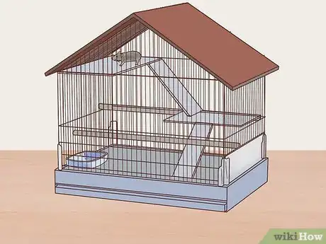 Image titled Care for a Manx Rat Step 1