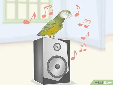 Image titled Deal with a Fearful or Stressed Senegal Parrot Step 11