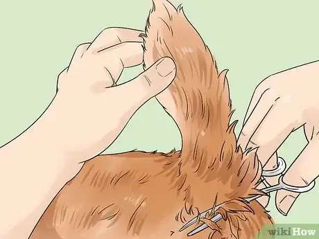 Image titled Whelp Large Breed Dogs Step 4