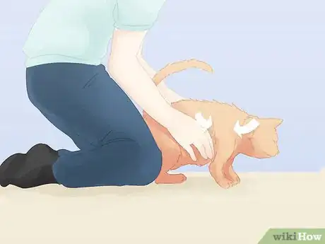Image titled Save a Choking Cat Step 9