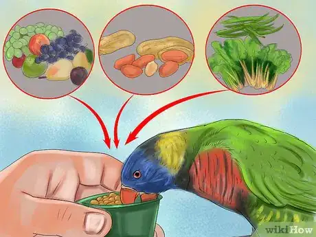 Image titled Select a Pet Parrot Step 7
