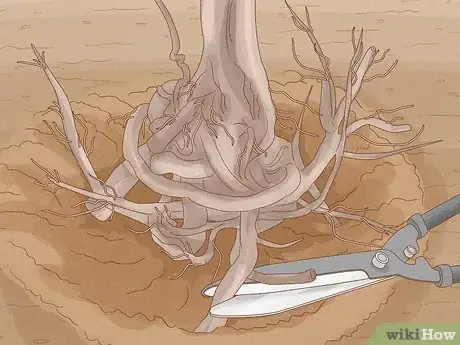 Image titled Remove Overgrown Shrubs Step 10