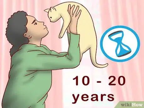 Image titled Know if You Are Ready for a Cat Step 8