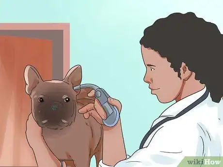 Image titled Check a Dog for a Fever Step 10