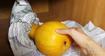 Store Butternut Squash