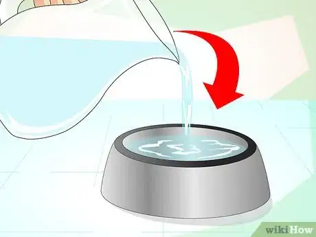 Image titled Comfort a Dying Cat Step 7