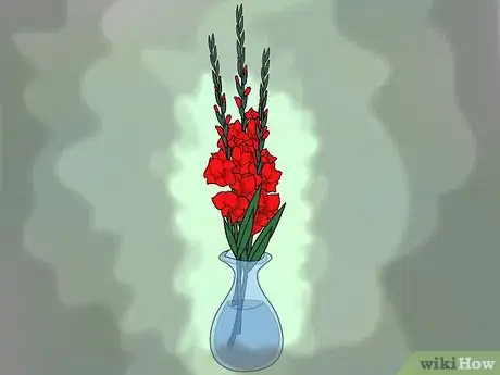 Image titled Grow Gladiolus Step 16