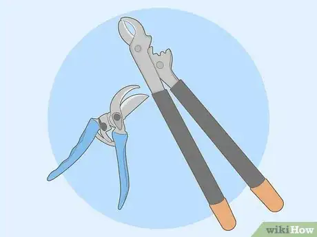 Image titled Prune Grape Vines for Winter Step 2