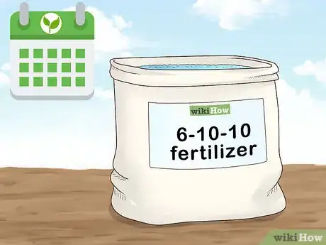 Image titled Grow Orris Root Step 7