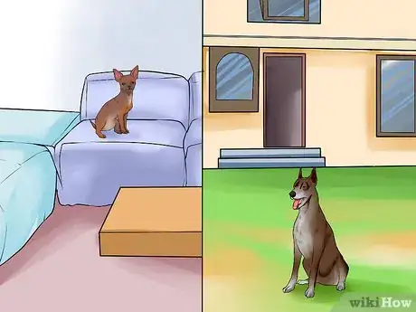 Image titled Choose the Right Dog Breed to Protect Your Home Step 3