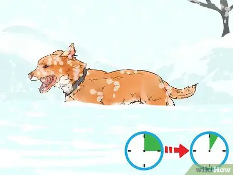 Image titled Protect Dog Paws Step 1