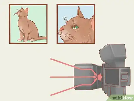 Image titled Photograph Cats Step 12