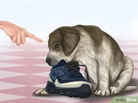 Image titled Reprimand a Pet Step 6
