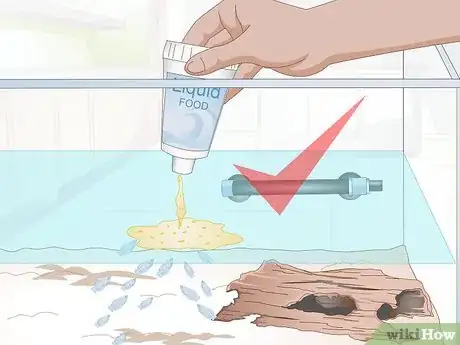 Image titled Breed Blue Gouramis Step 12