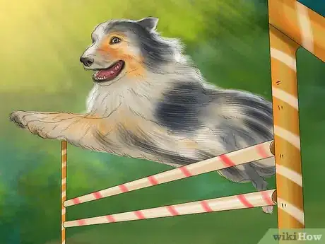 Image titled Relieve Your Dog's Boredom Step 3