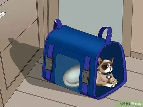 Image titled Avoid Losing Your Cat Step 18