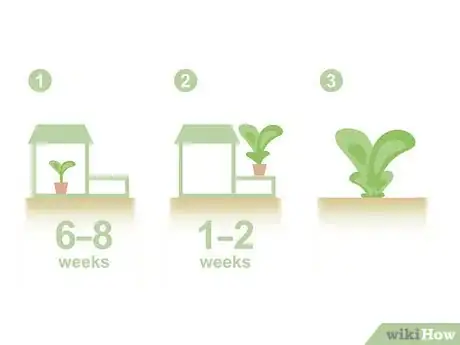Image titled Grow Vegetables in the Southwest (USA) Step 10